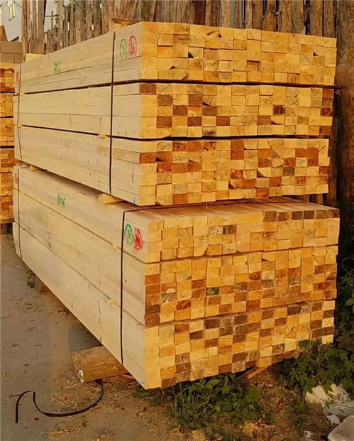 山東建筑工地方木與廣西欽州匯森建材報(bào)價(jià)解析